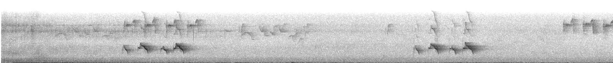 Ak Kaşlı Kasapkuşu (ripleyi) - ML326499121
