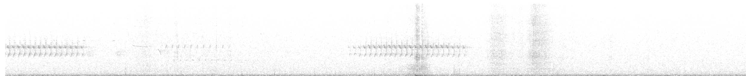 křivka bělokřídlá - ML326610481