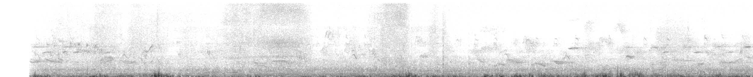 House Sparrow - ML326746611