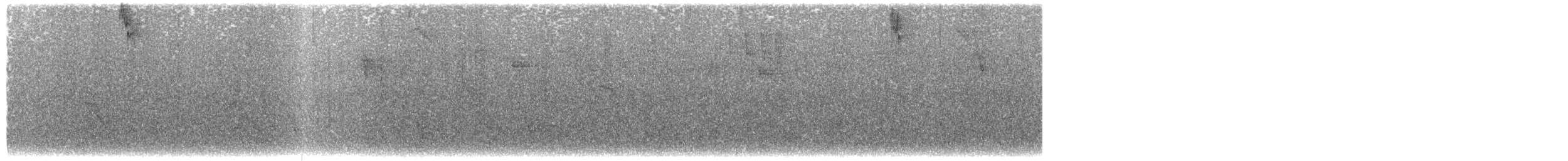 Violet-tailed Sylph - ML326749471