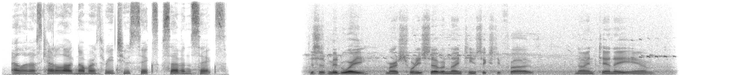 Ruddy Turnstone - ML32676