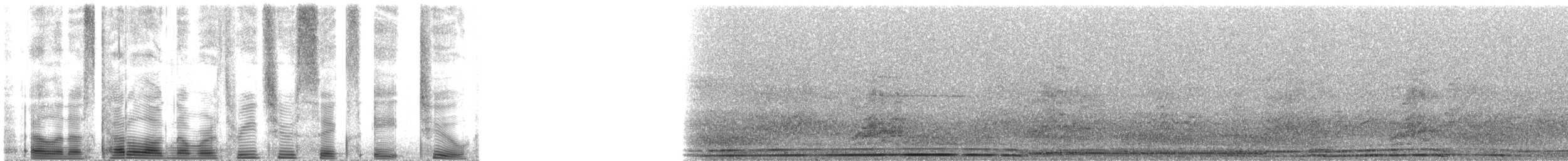 Wedge-tailed Shearwater - ML32682