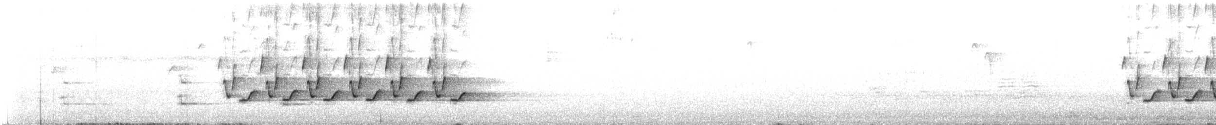 Поплітник каролінський - ML326839041