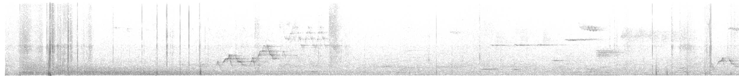 Zorzalito de Swainson (grupo ustulatus) - ML32684851