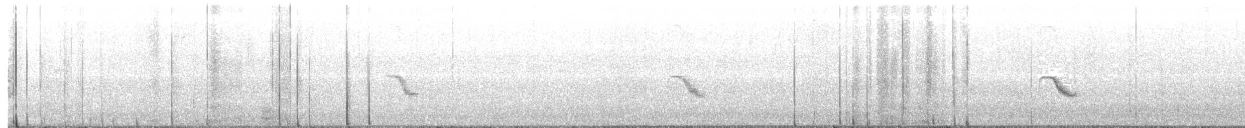 Дрізд-короткодзьоб канадський - ML326925201