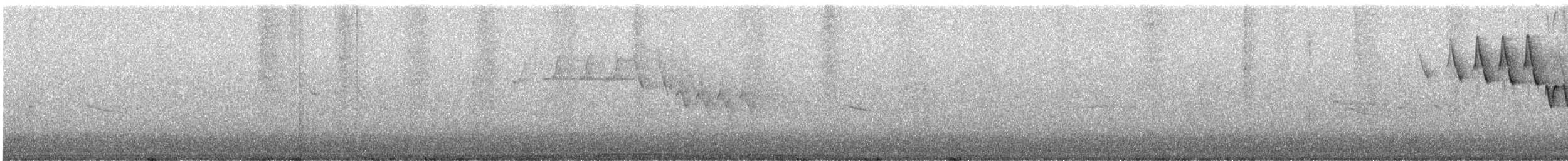 Northern Yellow Warbler - ML327079561