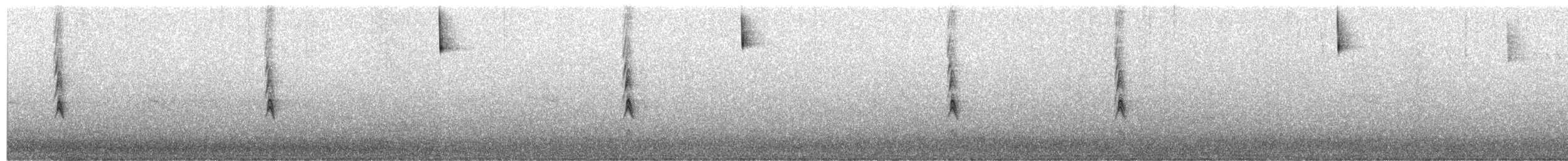 Song Sparrow - ML327079631