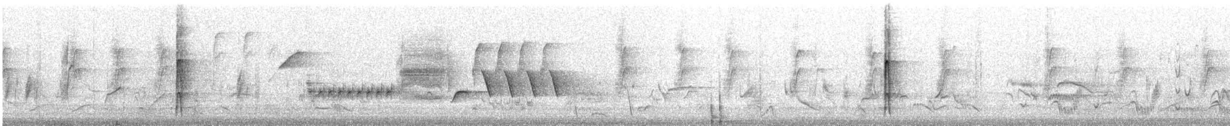 Bewick's Wren - ML327100661