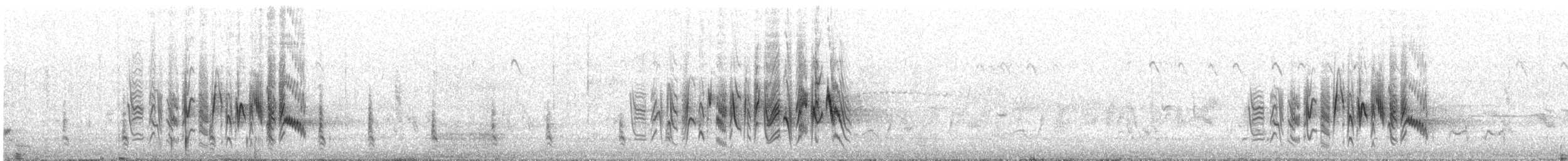 Bell's Vireo - ML327100701