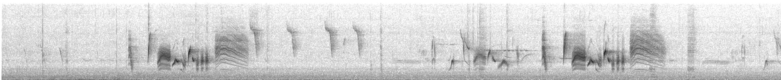 White-eyed Vireo - ML327100751