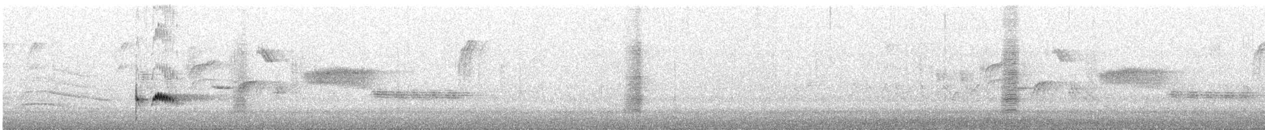 Ash-throated Flycatcher - ML327101911