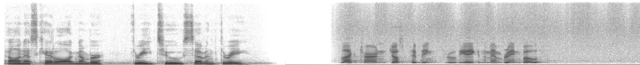 Black Tern (American) - ML3273