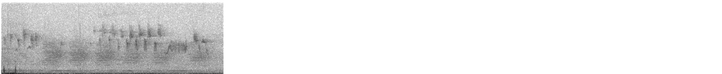 Bewick's Wren - ML327320541