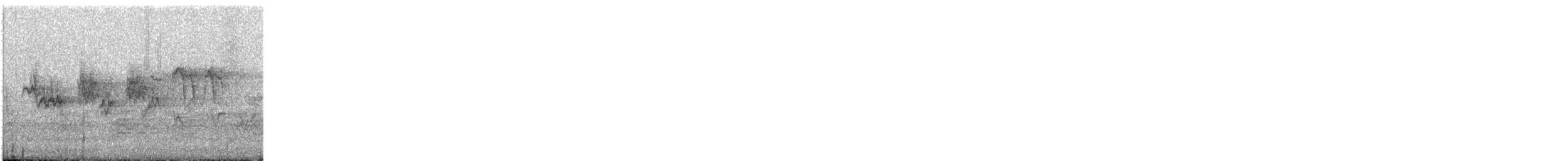 new world warbler sp. - ML327320611