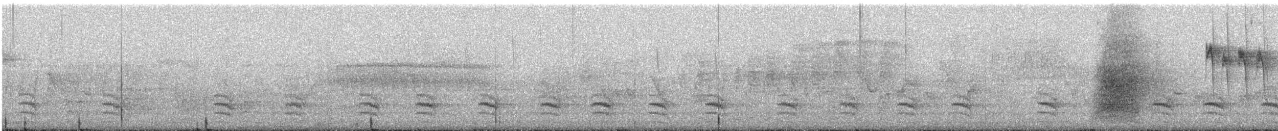 White-breasted Nuthatch - ML327320721