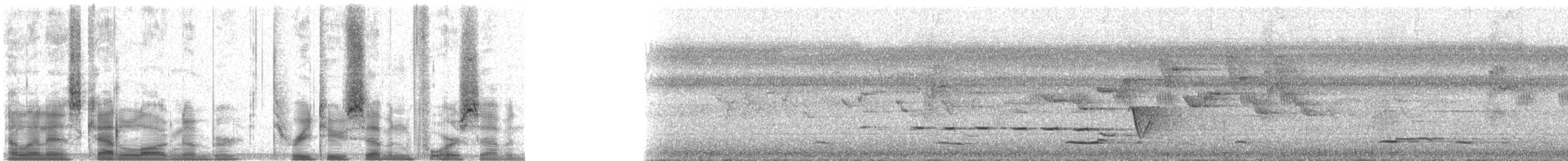 Орел-чубань сулавеський - ML32747