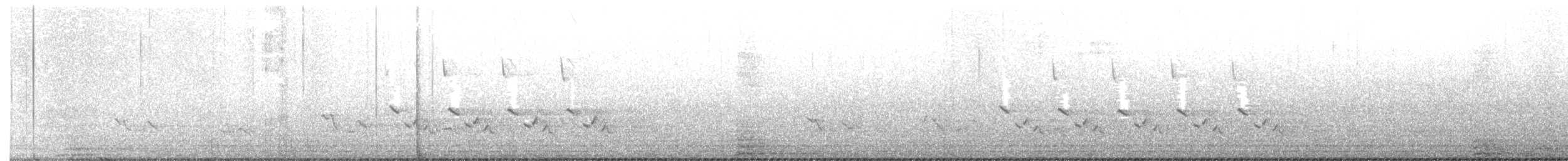 Northern Parula - ML327500611