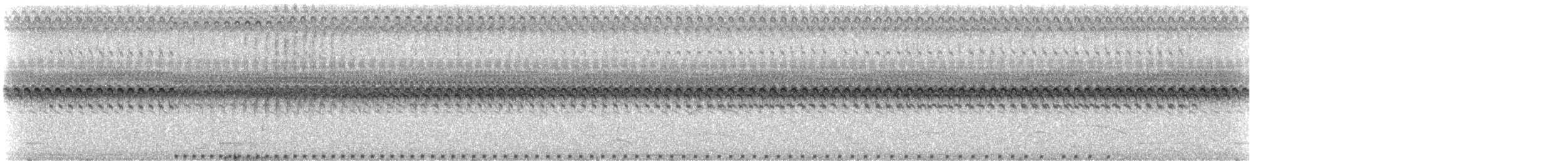 Paint-billed Crake - ML327523441