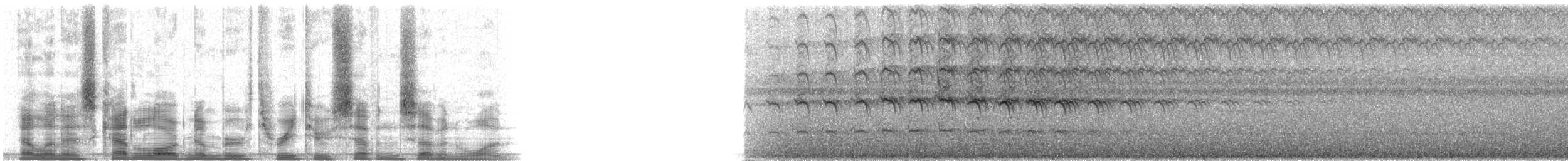 Faucon aldrovandin - ML32771