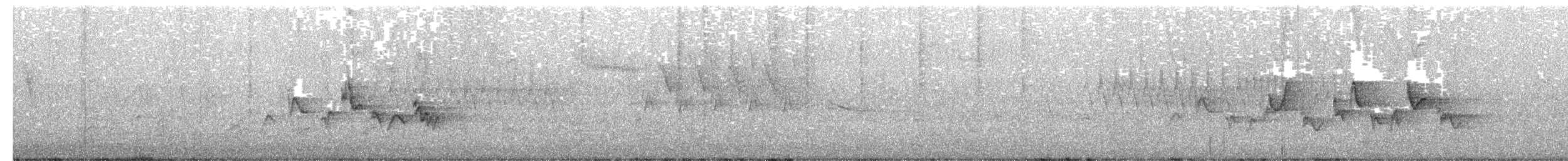 Warbling Vireo - ML327755501