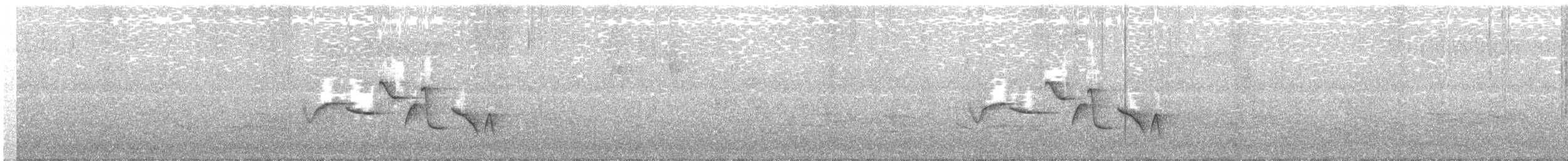 Spot-breasted Wren - ML327866981