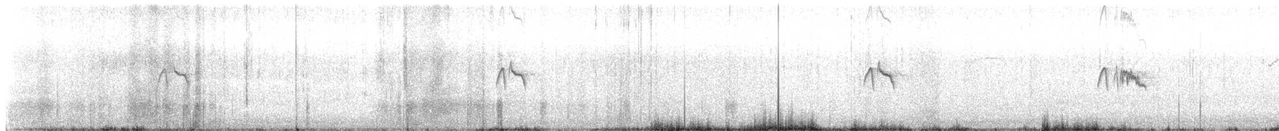 Black Phoebe - ML327945361