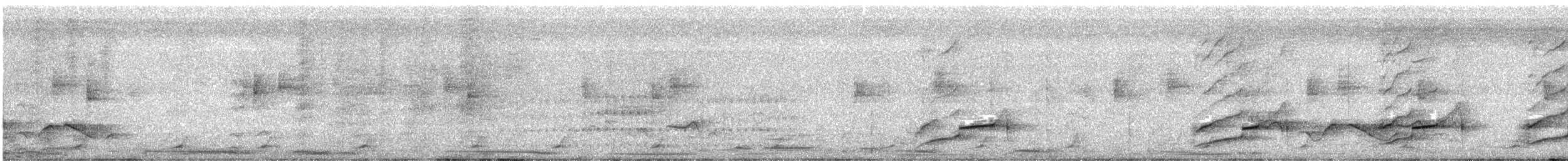 Smooth-billed Ani - ML328062031