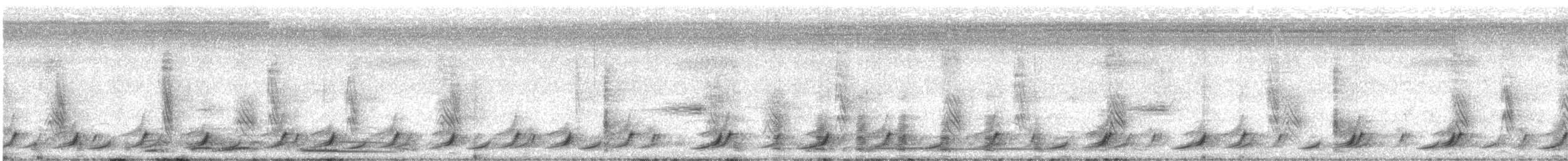 Carib Grackle - ML328065701