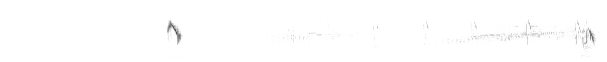 gulerle (cinereocapilla gr.) - ML328086751