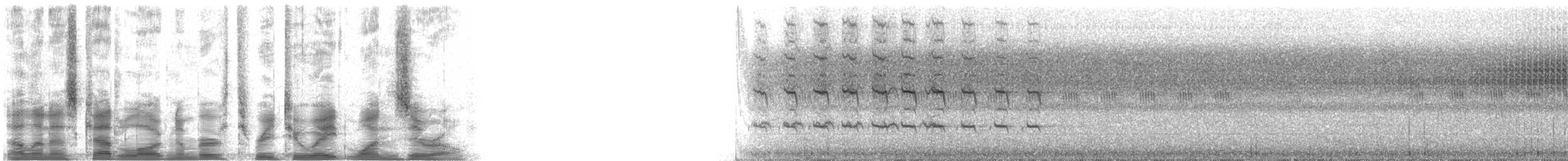 Faucon aldrovandin - ML32810