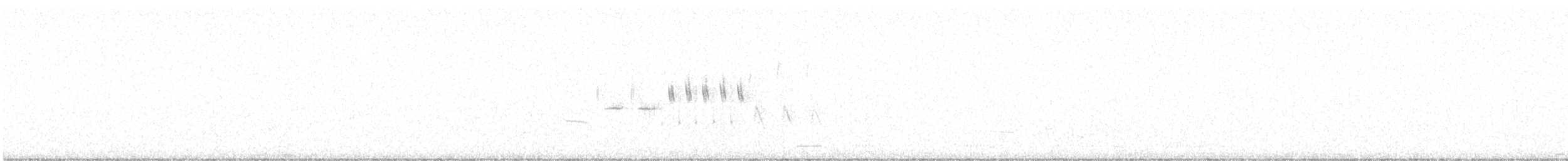 オジロヒメドリ - ML328130401