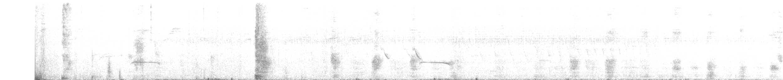 Пестрогорлая гевара - ML328149151