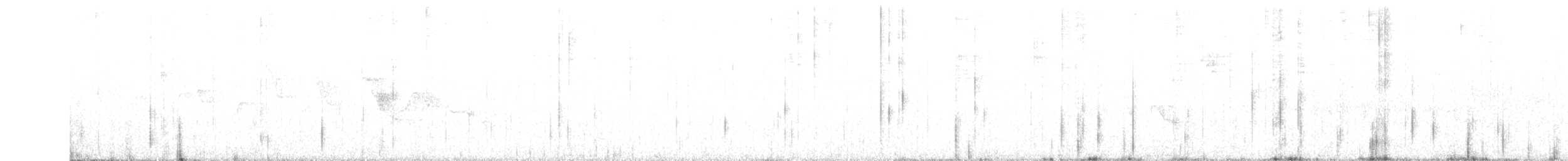 Белолицая канделита - ML328155091