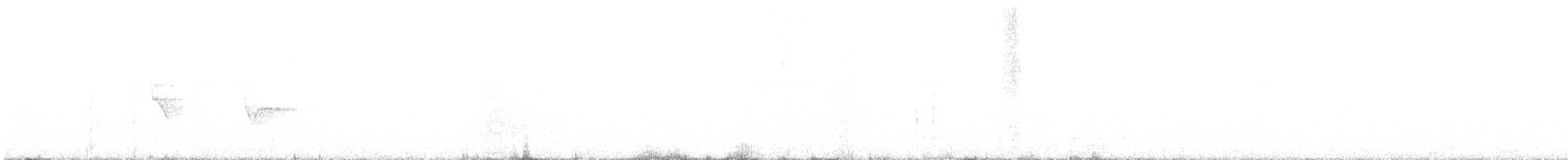 Graubrust-Buschammer - ML328166071