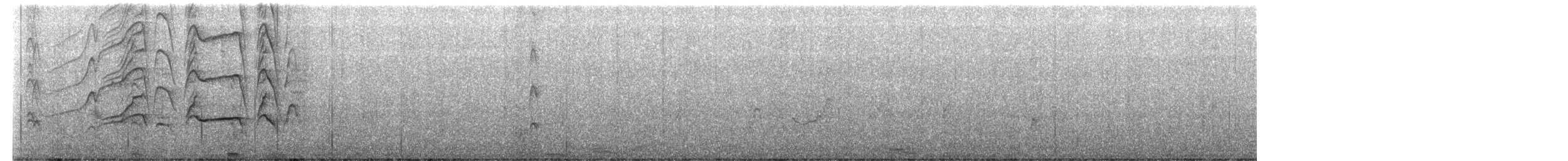 Kara Karınlı Islıkçı Ördek - ML328223911