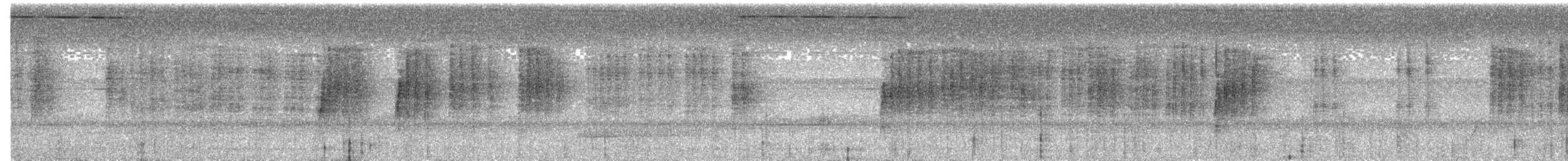 Gray-headed Babbler - ML328319041