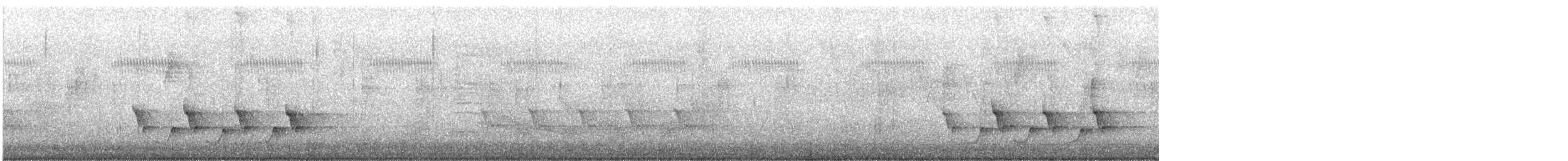 Поплітник каролінський - ML328395691