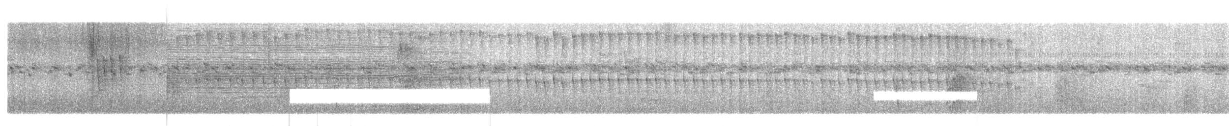 Weißscheitel-Kleintyrann (subcristata/straminea) - ML328487711