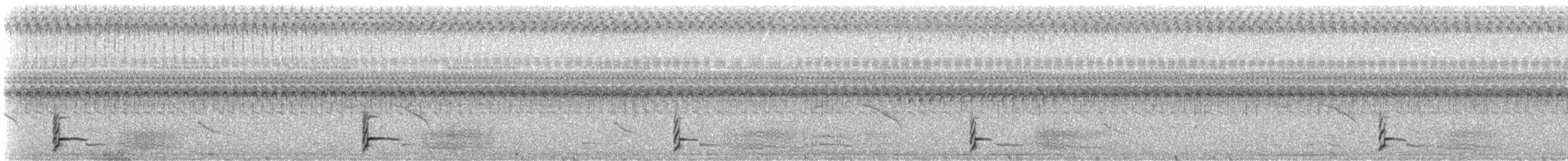 Paint-billed Crake - ML328618101