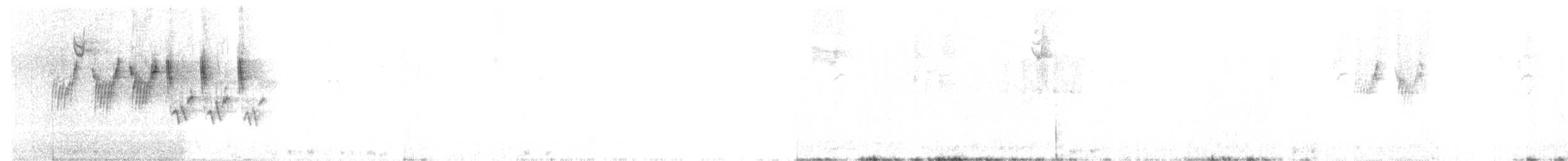 MacGillivray's Warbler - ML328666641