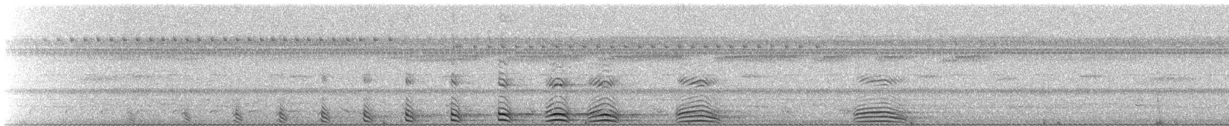 Collared Forest-Falcon - ML328720921