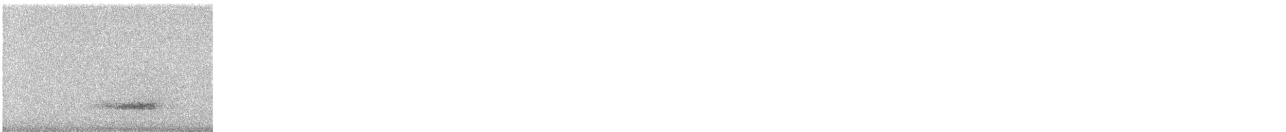 sova americká - ML328751101