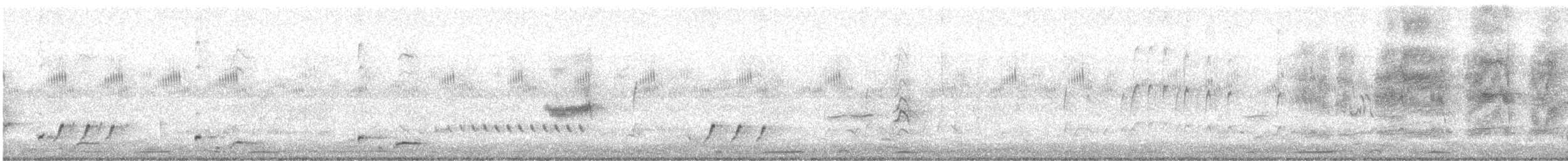 stripediamantfugl (melanocephalus gr.) - ML328870551
