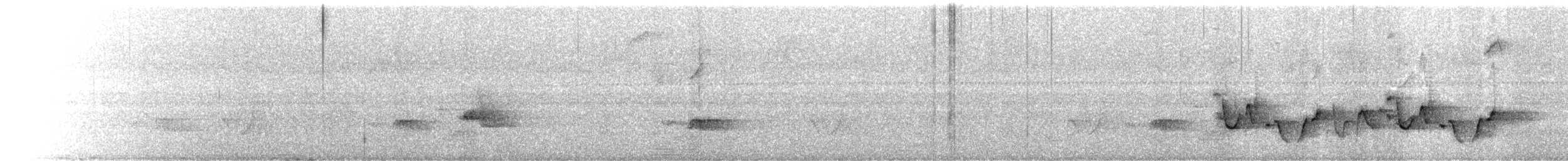 Серогрудый крапивник - ML328911981