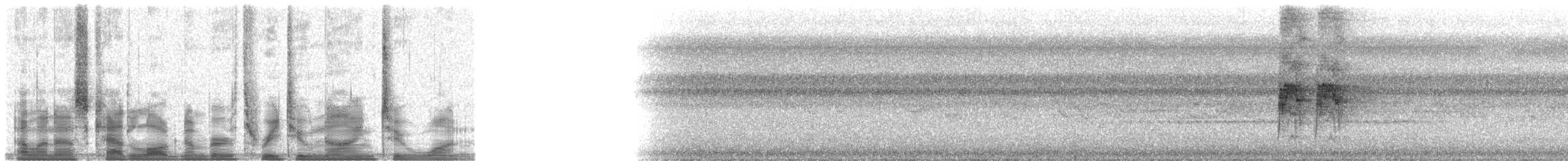 špaček bělokrký - ML32921