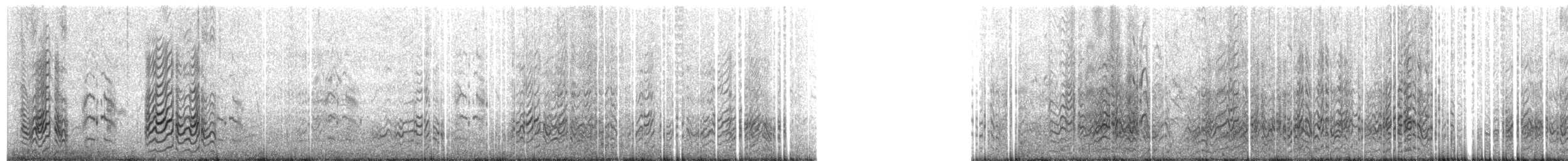 Sterna scura - ML329307
