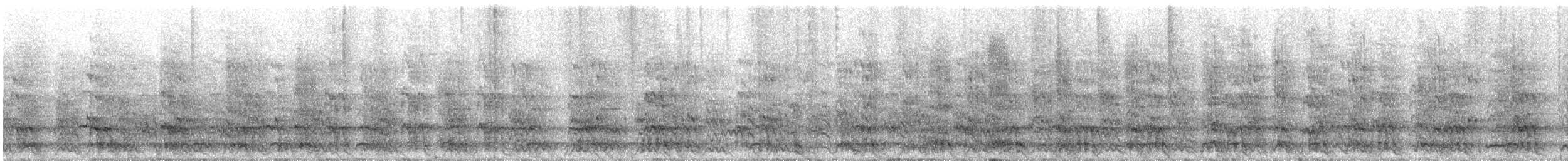 Central American Spider Monkey - ML329329