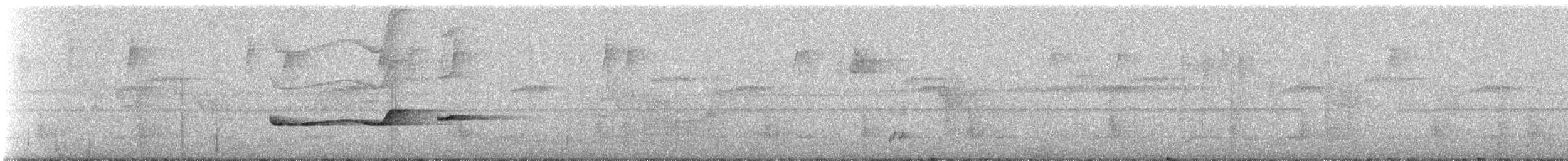 Northern Schiffornis - ML329330