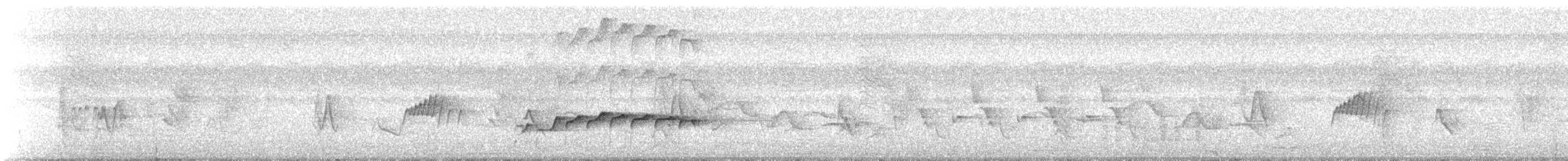 Bright-rumped Attila - ML329334