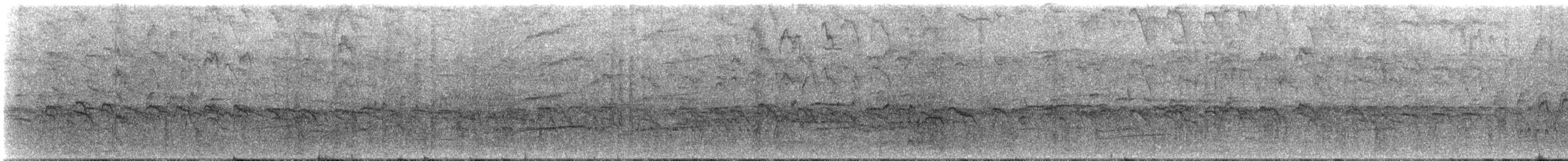 Great-tailed Grackle - ML329338